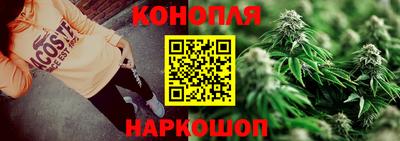 spice Коммунар
