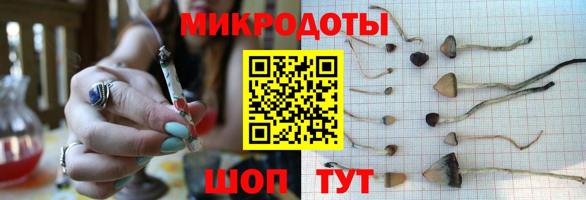 Ипатово  Псилоцибиновые грибы Psilocybine cubensis  Вход с VPN 